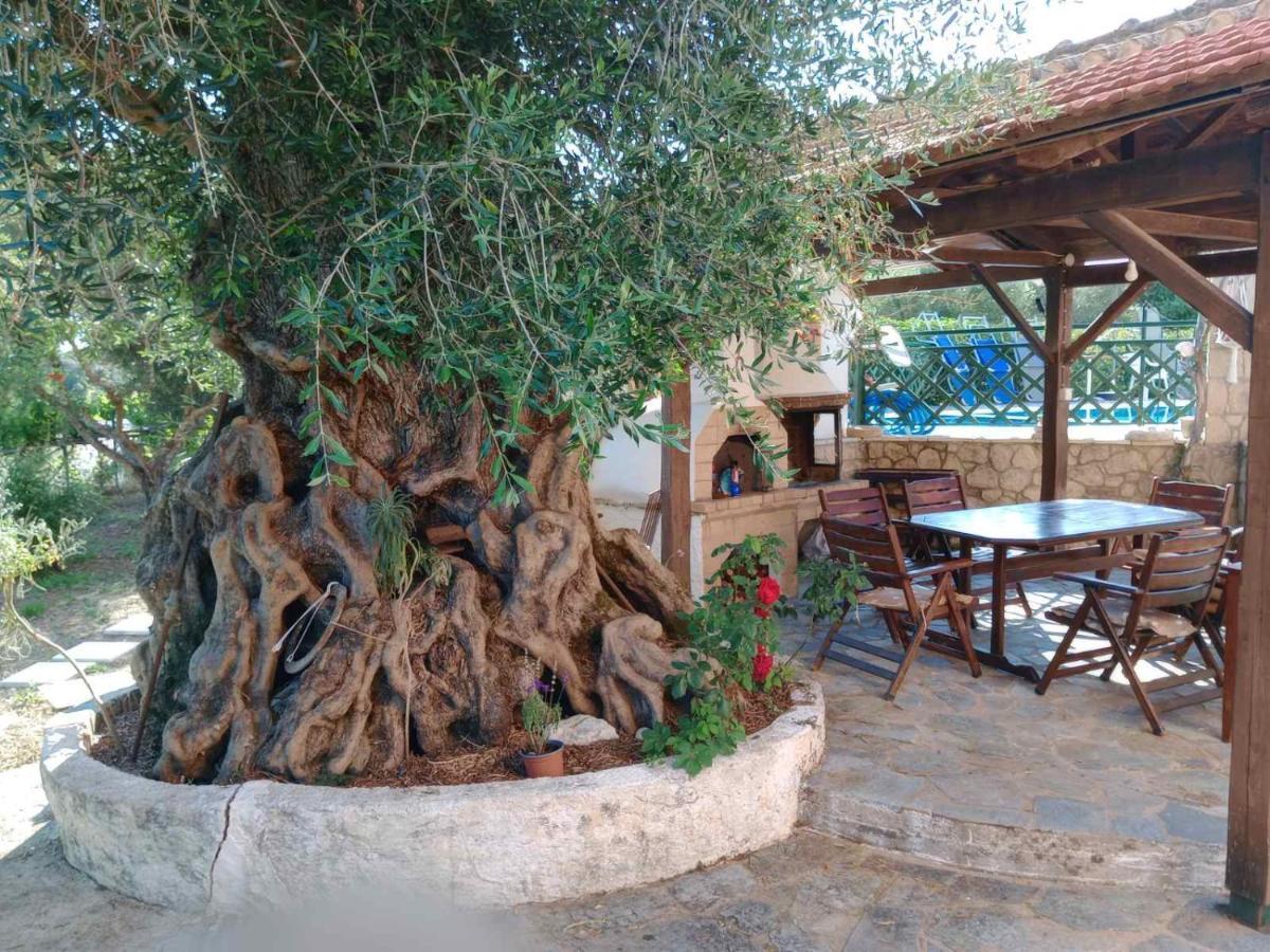 Pool Villa Grigoris Aspiotades Εξωτερικό φωτογραφία